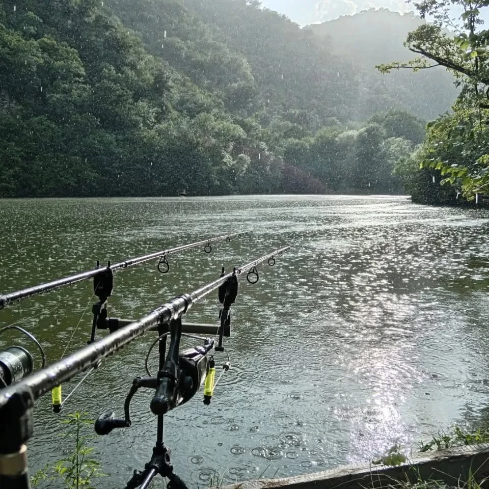 Lake Fishing Near Dilijan — Forest Lake Catch & Dine in Tavush