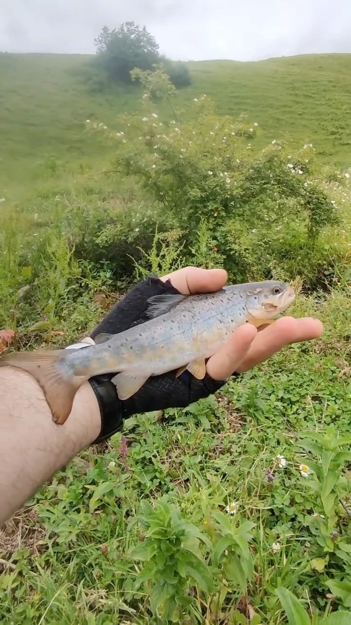 Wild River Stream Spinning Fishing in Armenia: The Ultimate Off-Road Adventure